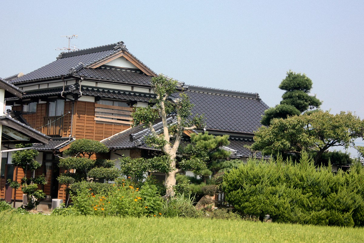 image9