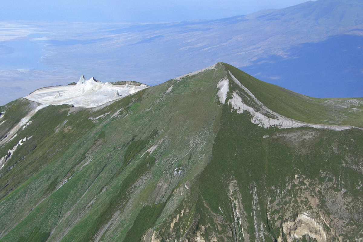 image15