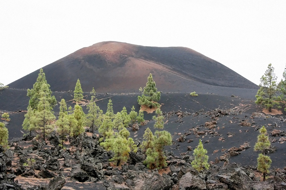 image104