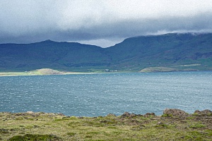 thumbnail4