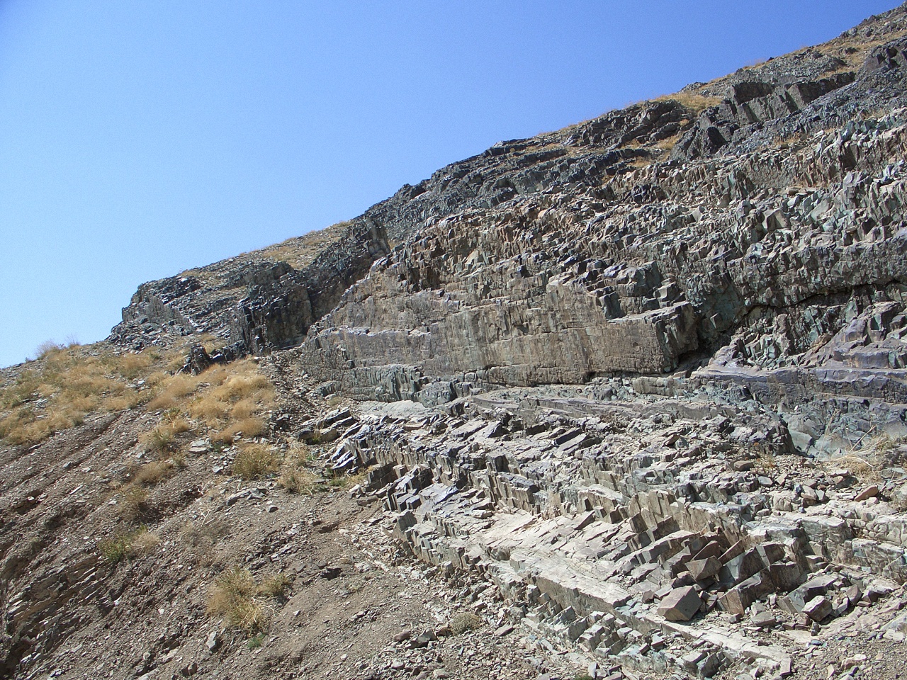 image19
