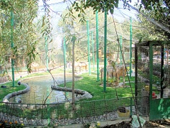 thumbnail23