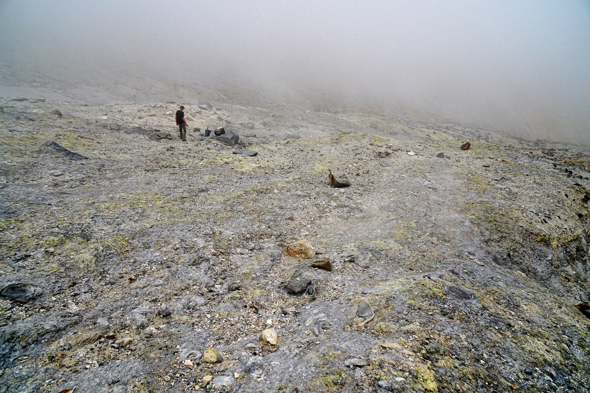image6