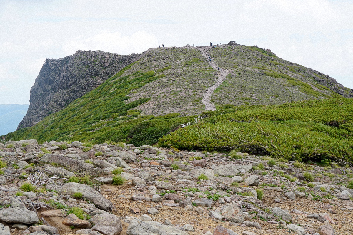 image12