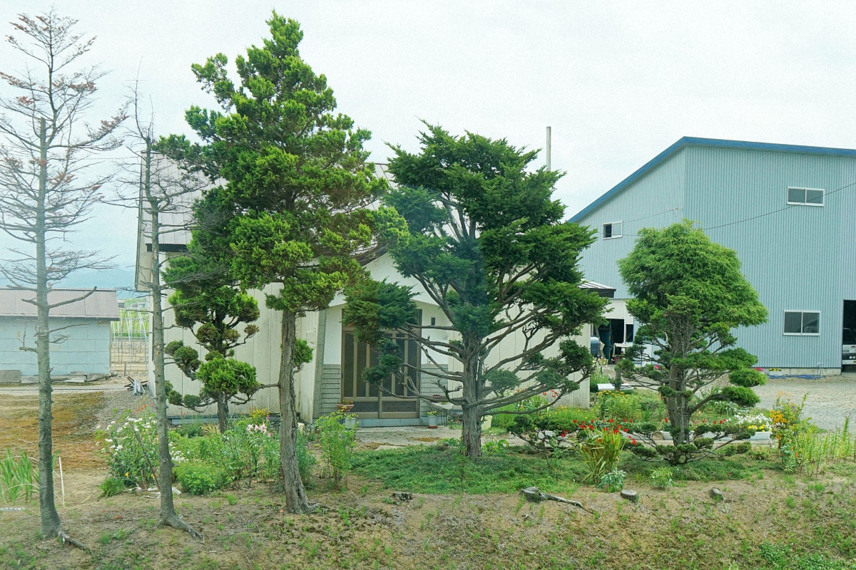 image10