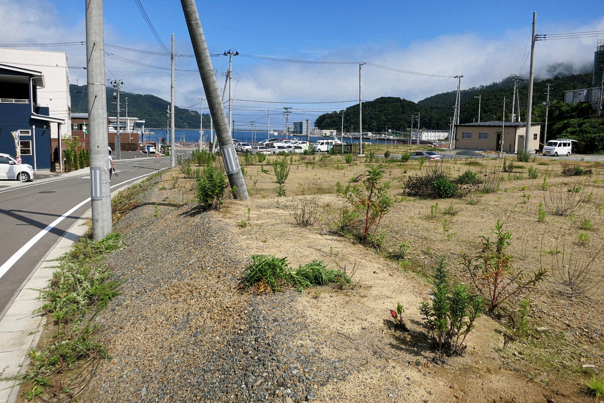 image5