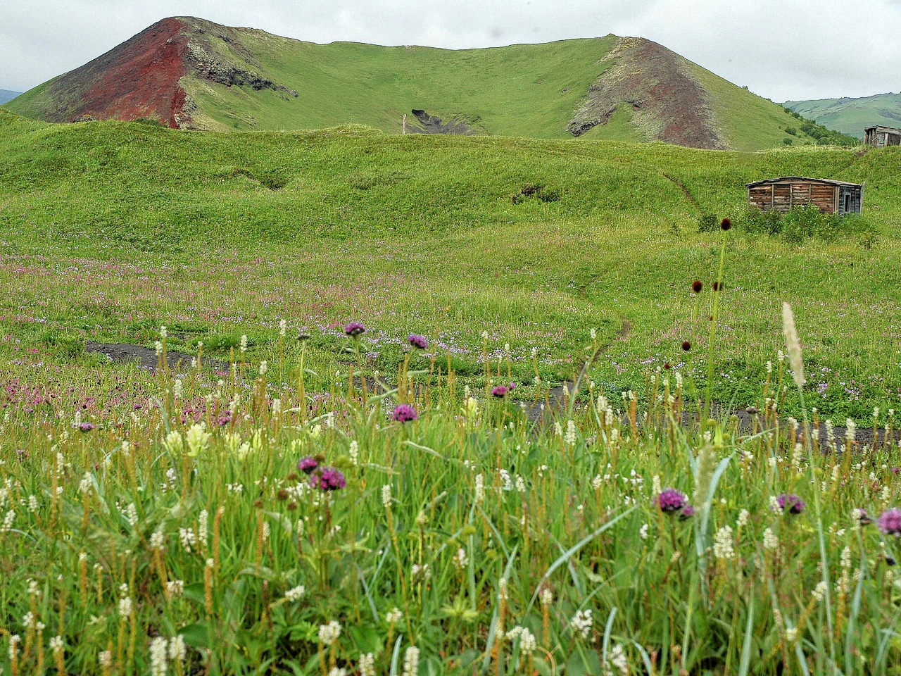 image75