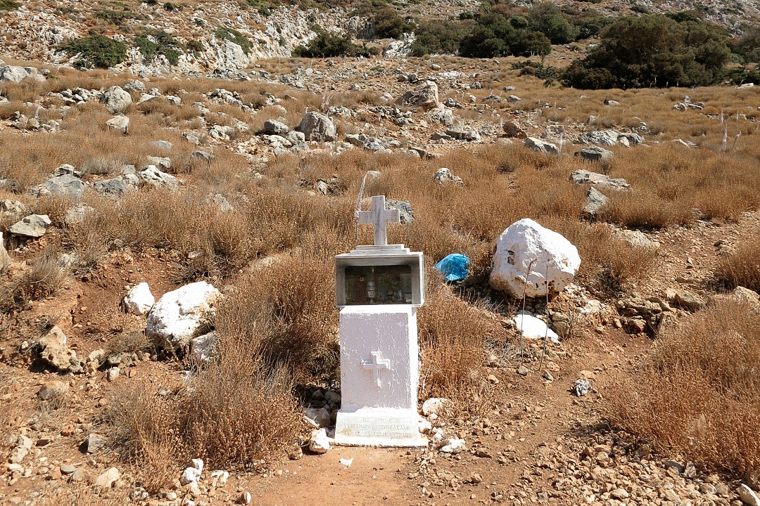 image1