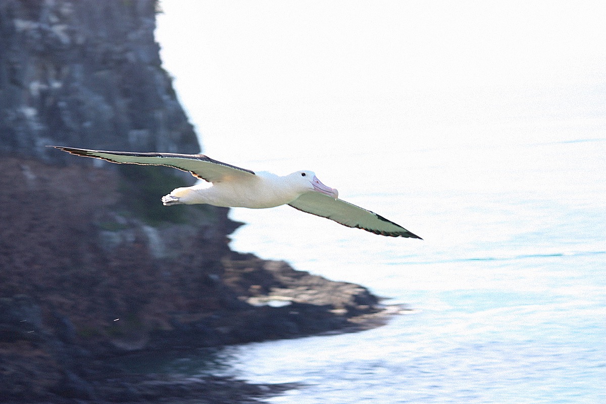 image13