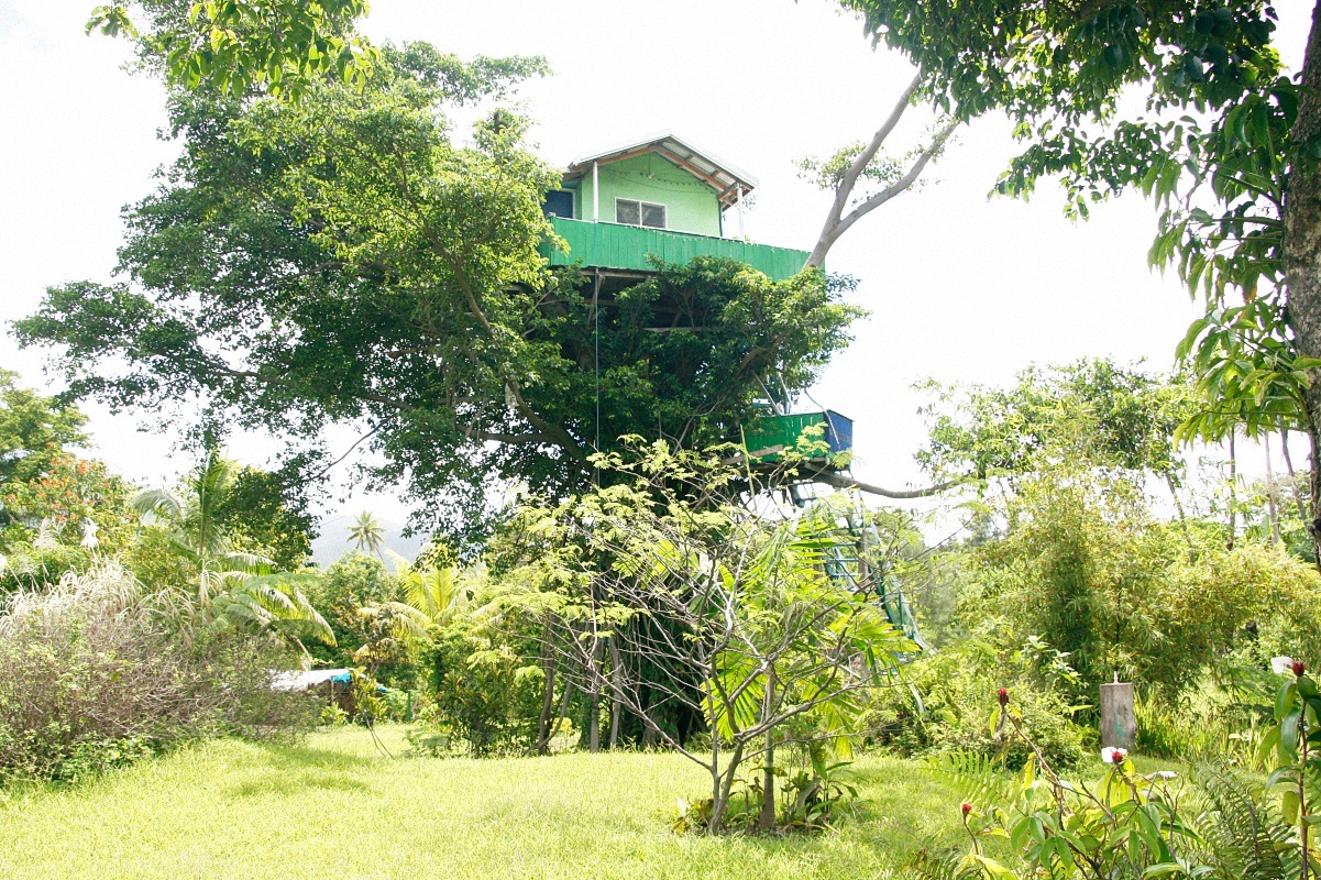image12