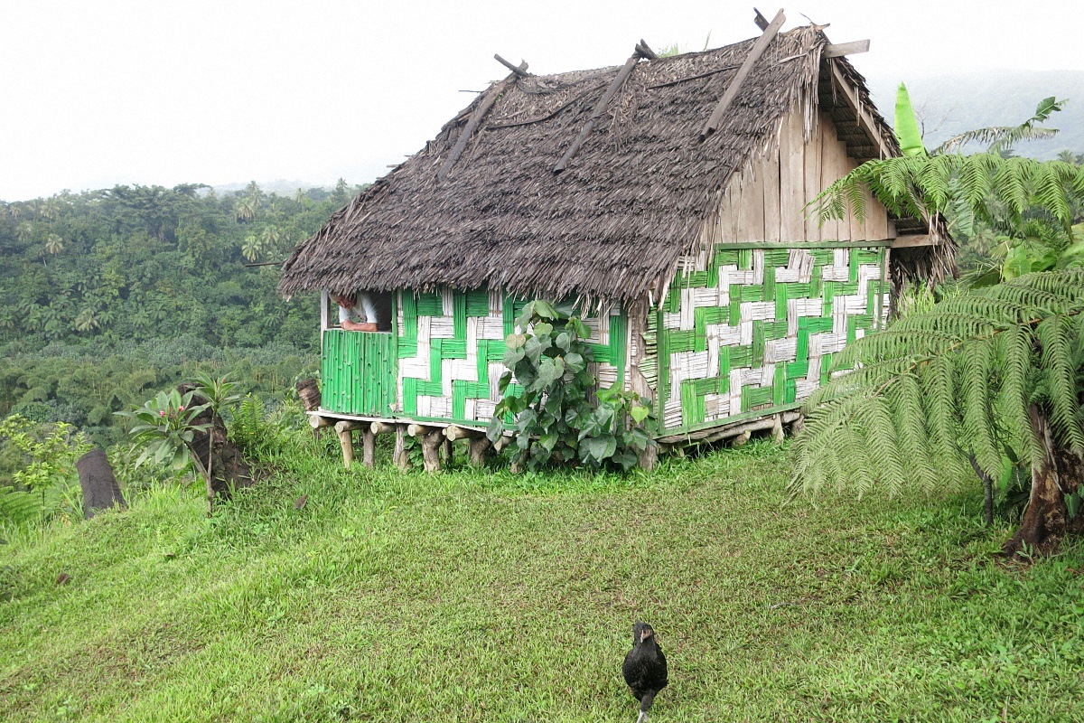 image1