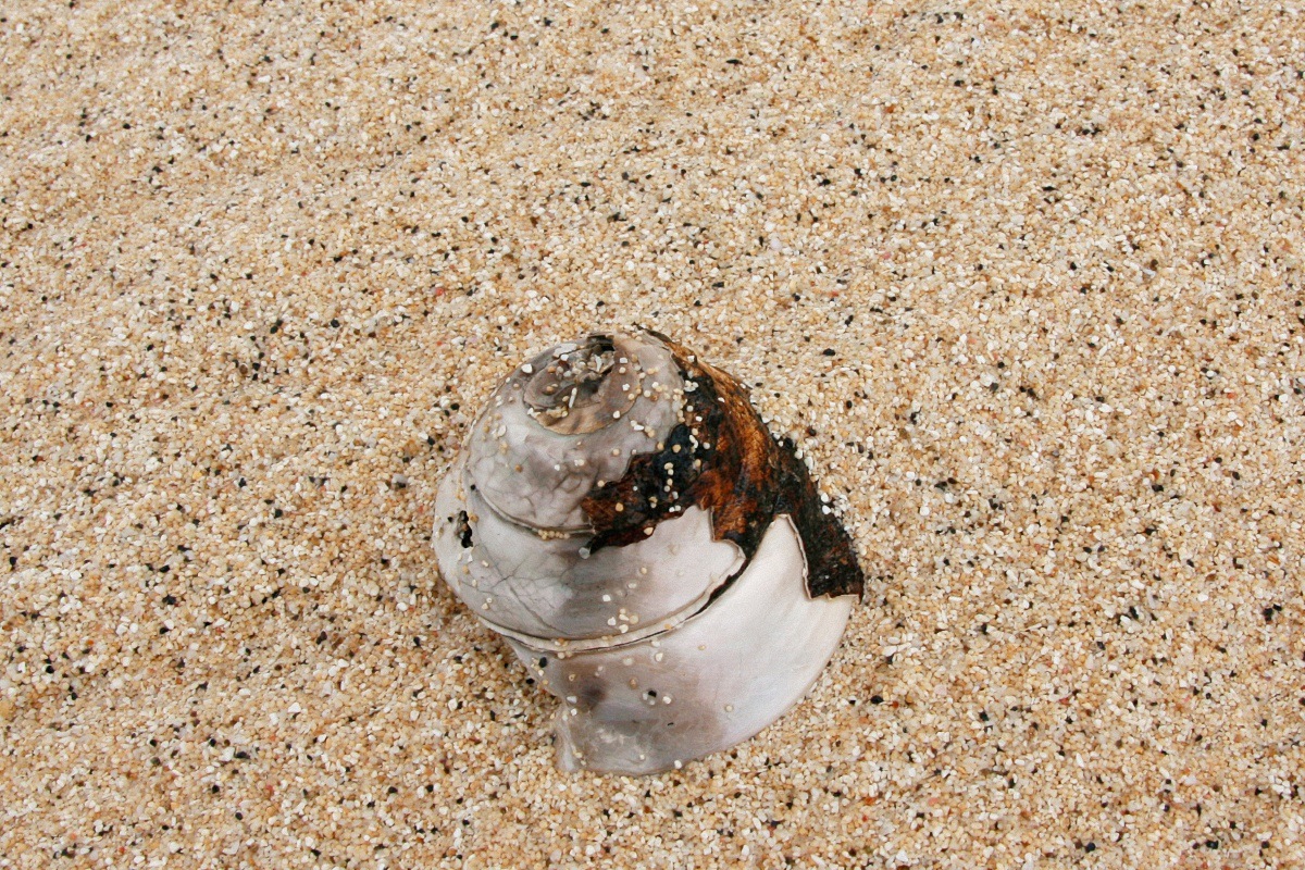 image5