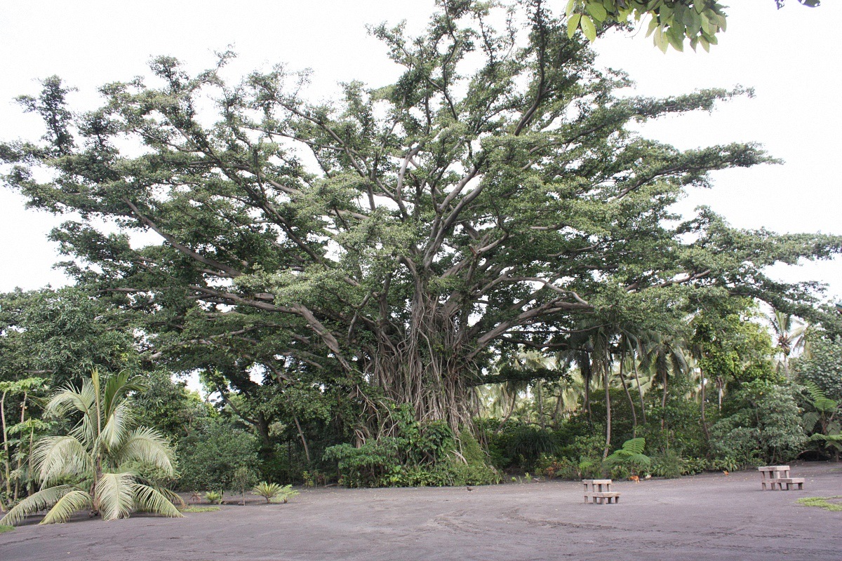 image10