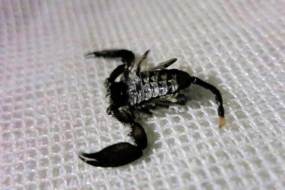 image17