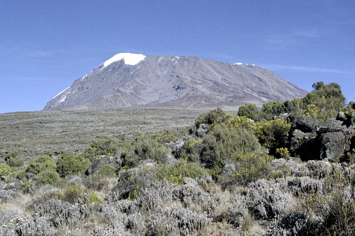 image13
