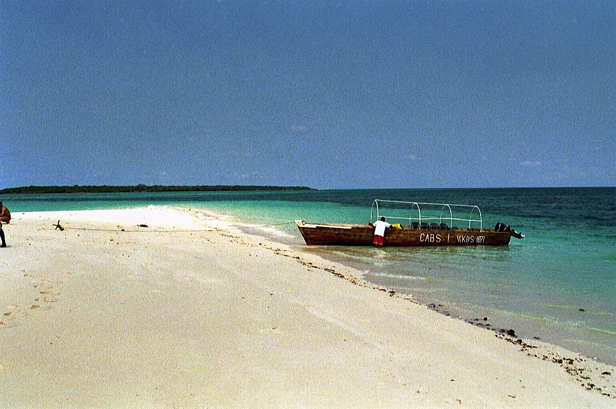image300