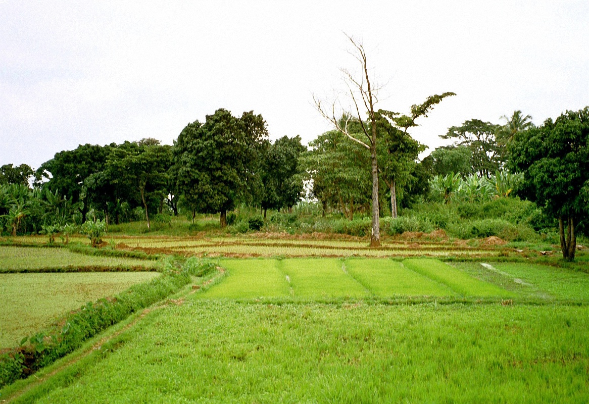 image8