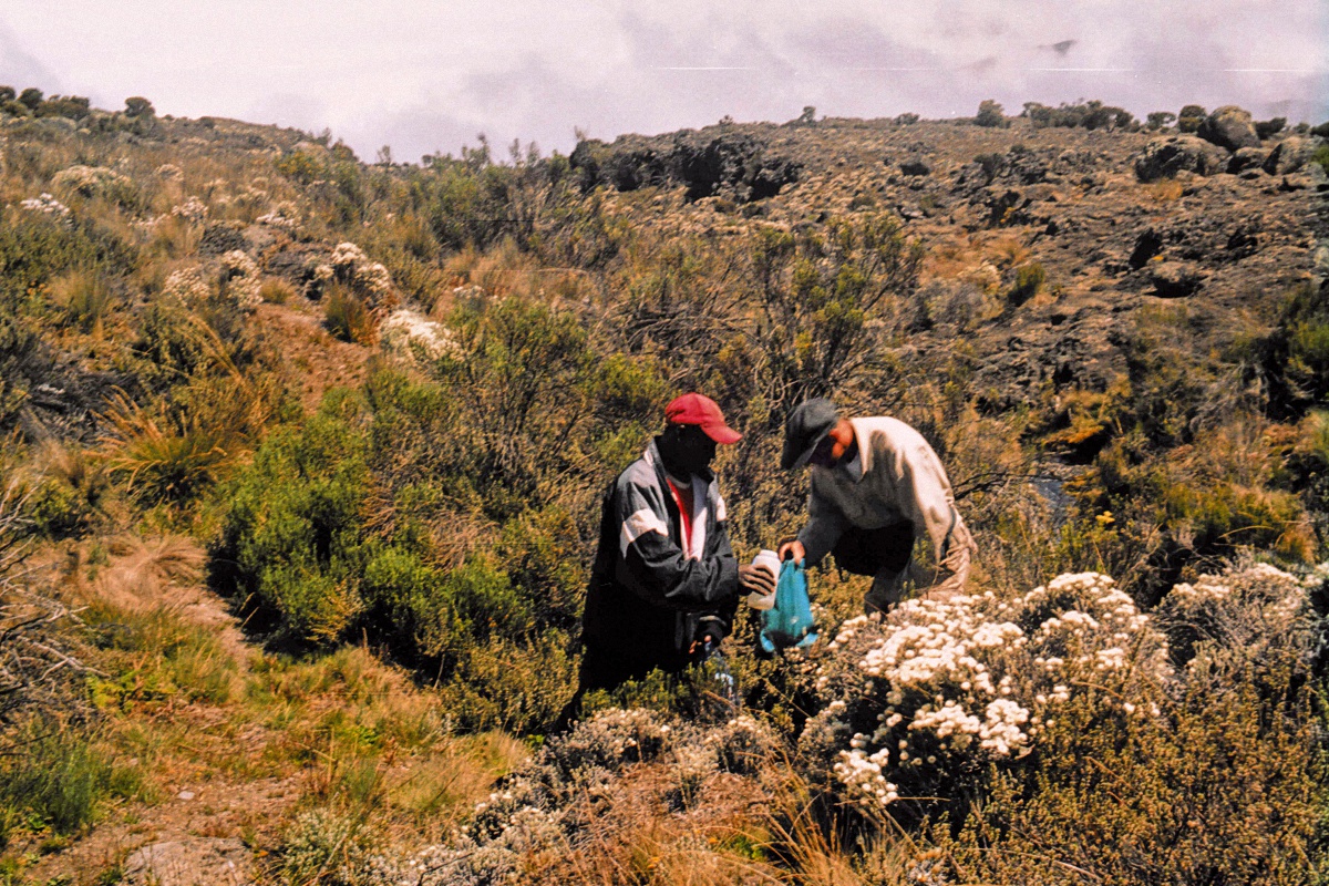 image100