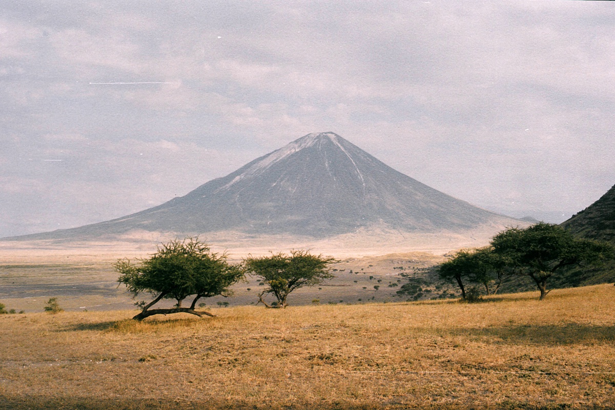 image13