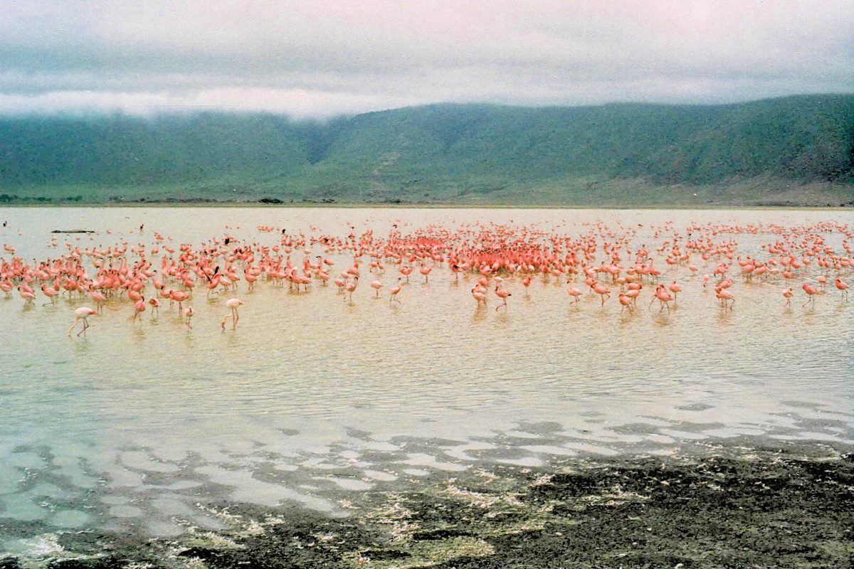 image69