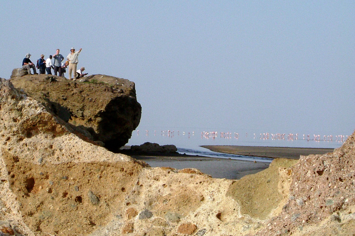 image18