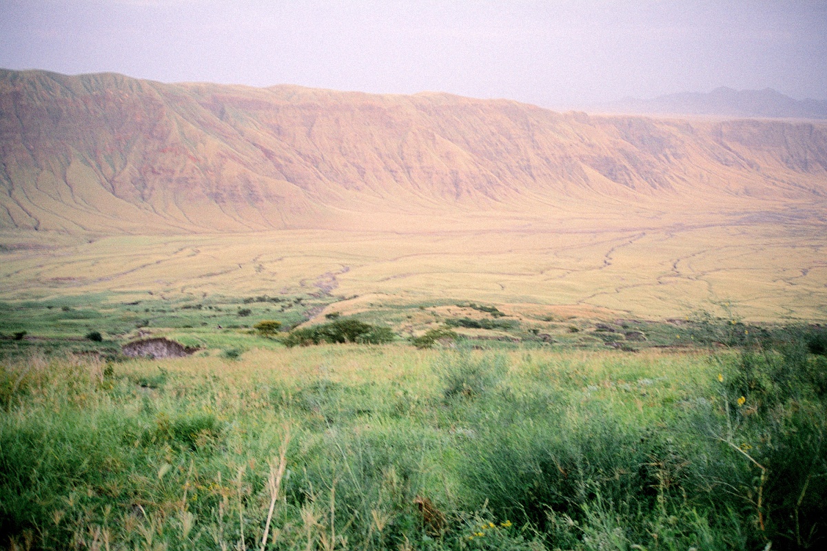 image23