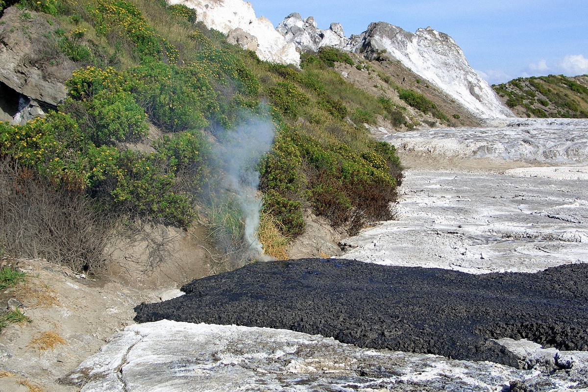 image46