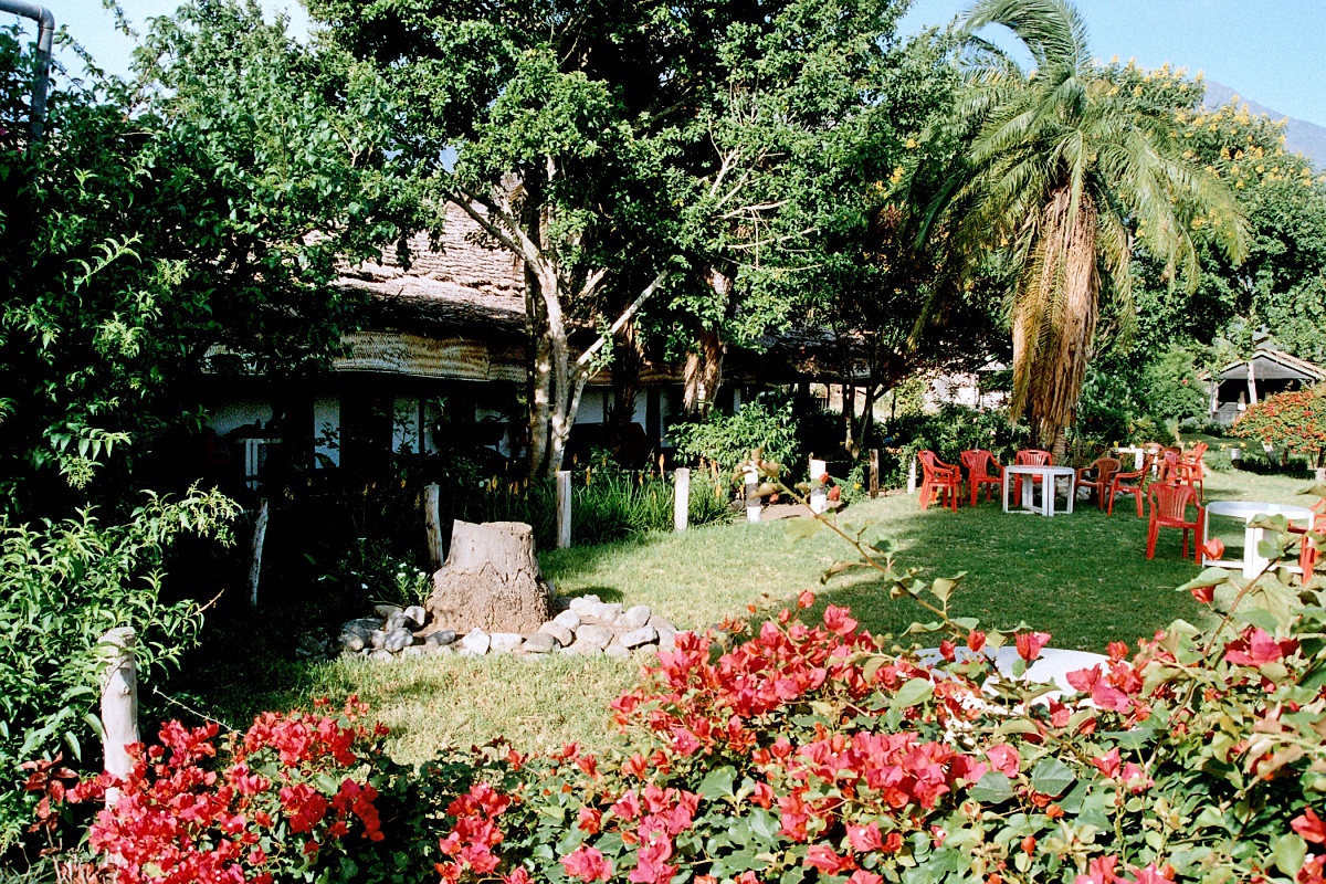 image50