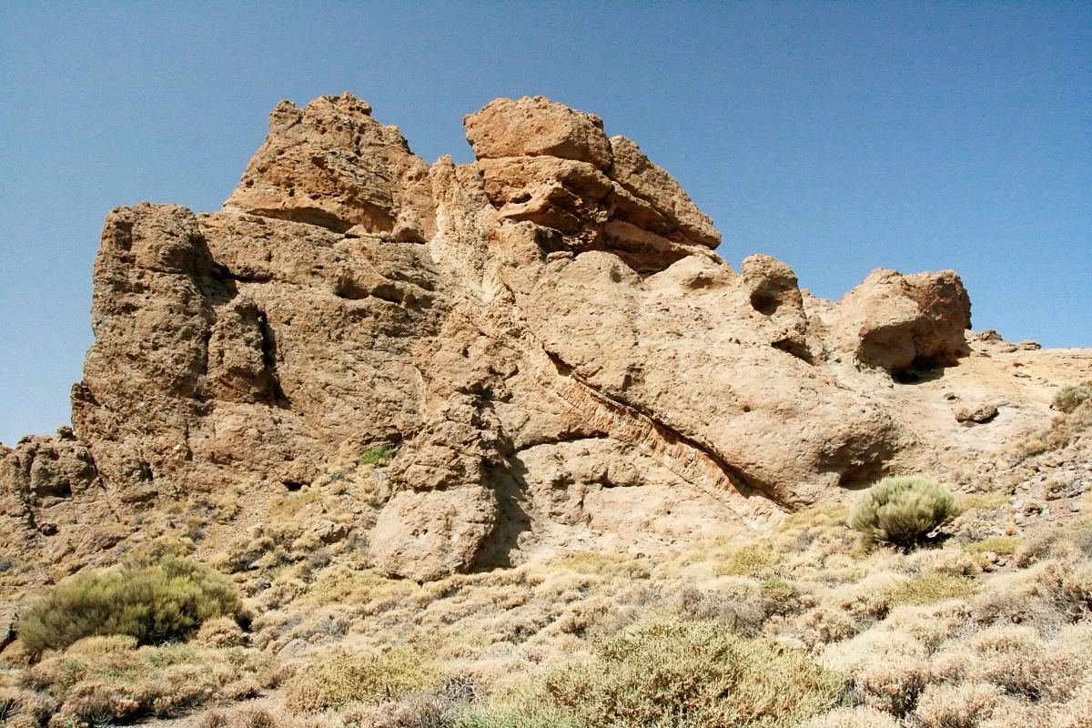 image6