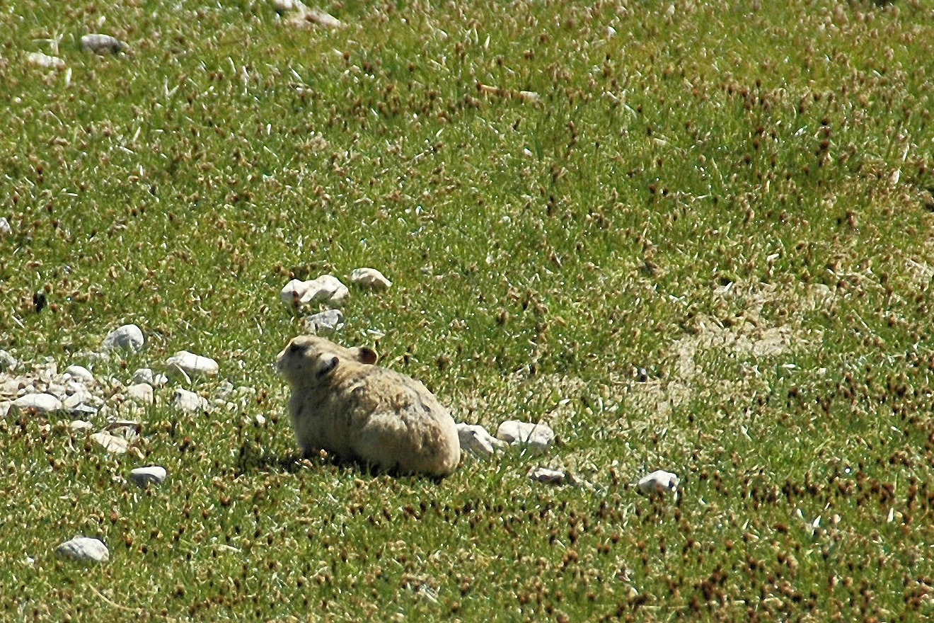 image67