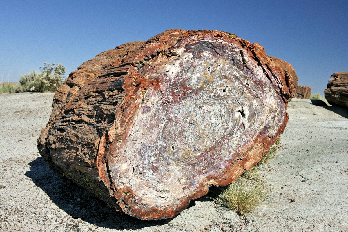 image38