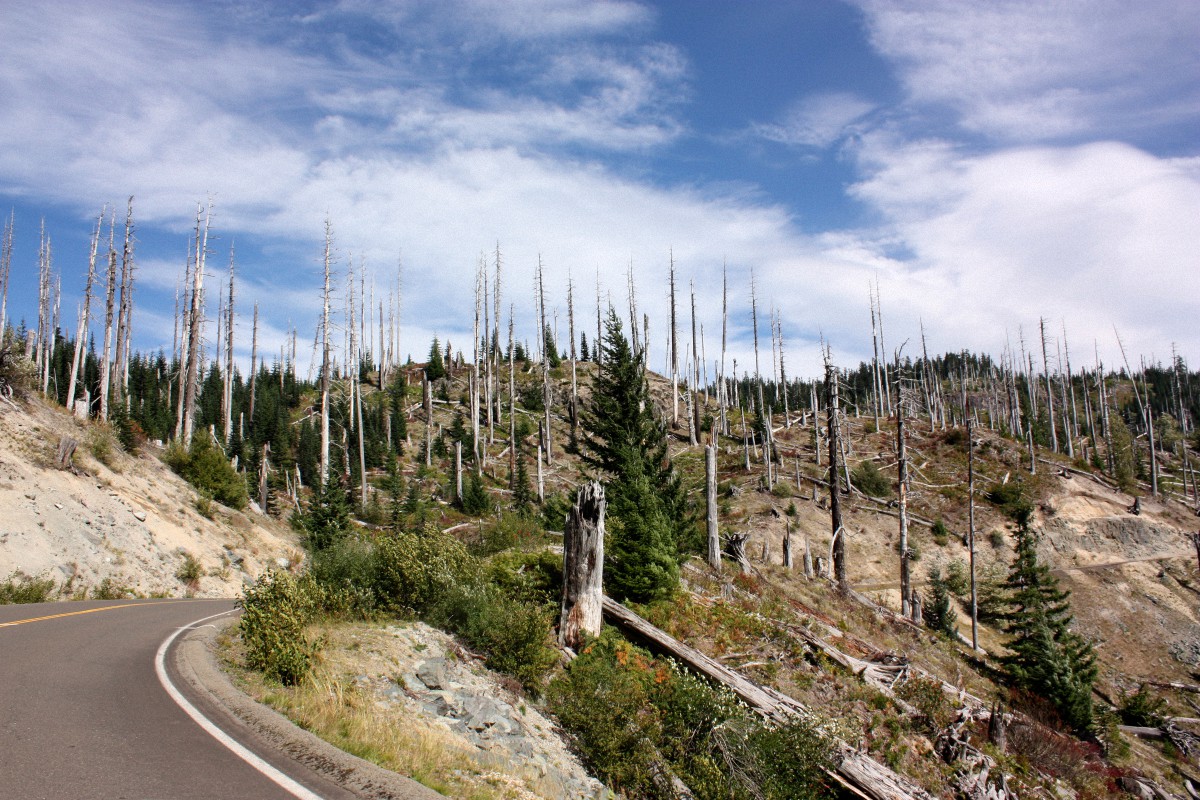image38